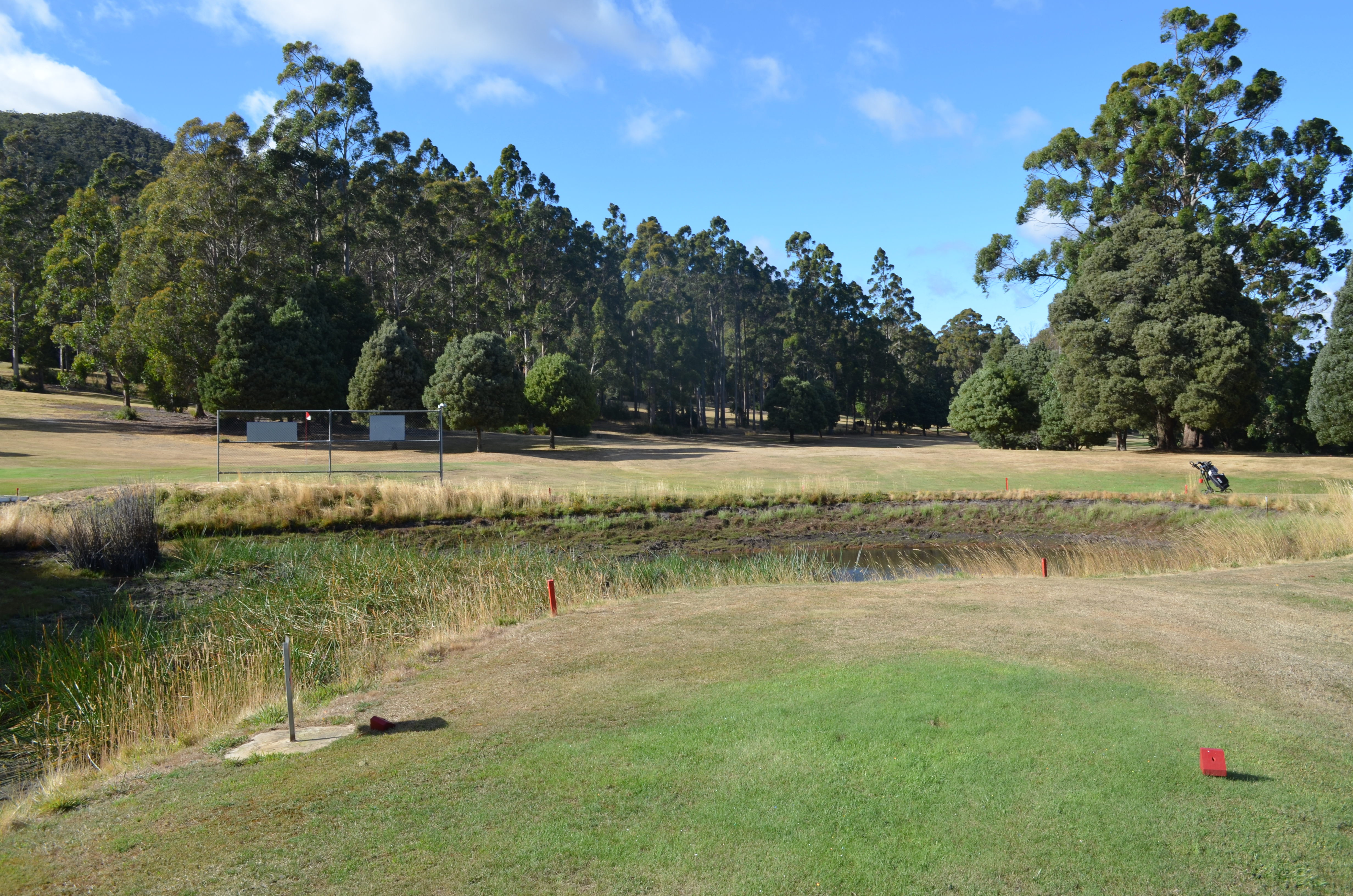 Seventh Tee (Red)