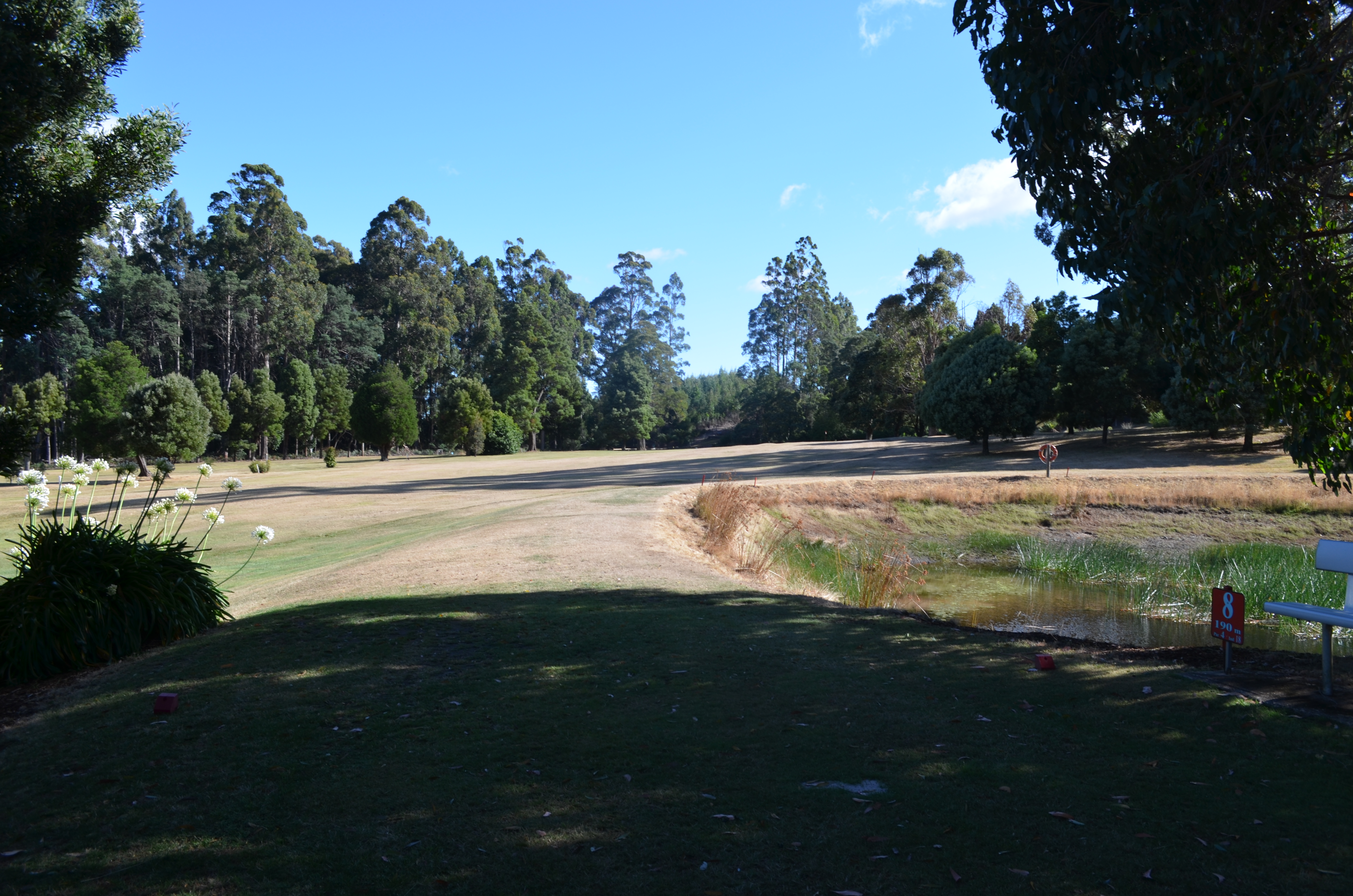Eighth Tee (Red)